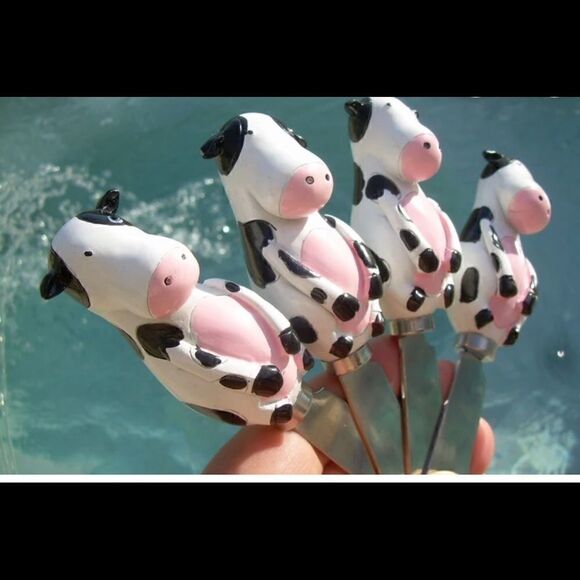 NWT Boston Warehouse Spreaders   - Picture 2 of 5